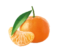 Clémentines séchées